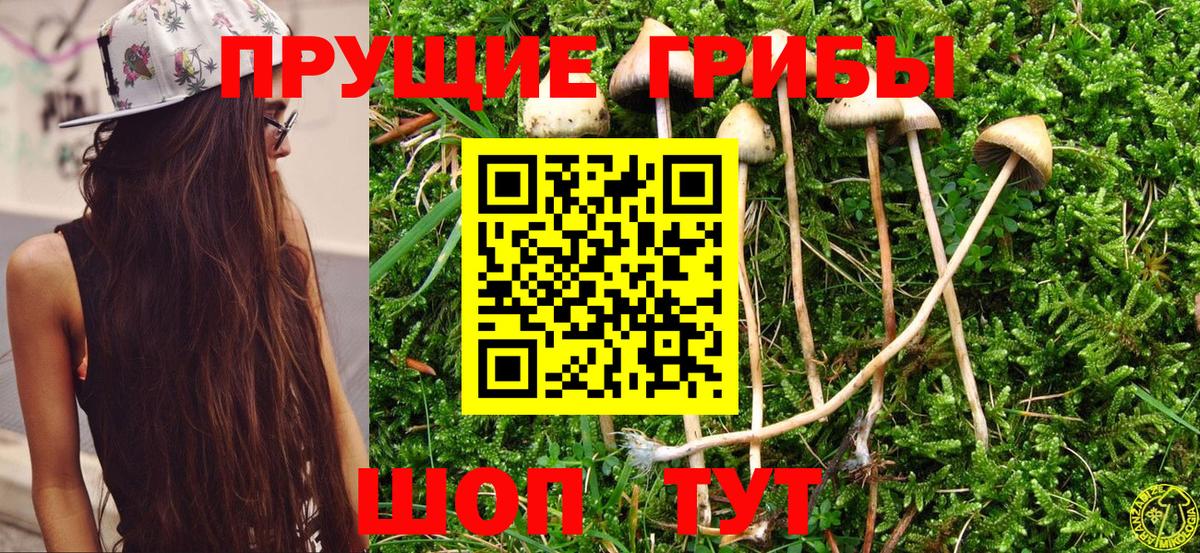 Лесозаводск  закладки  Псилоцибиновые грибы Psilocybe  Вход с VPN  Галлюциногенные грибы мухоморы 